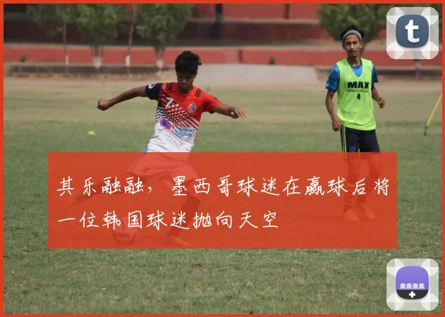 其乐融融，墨西哥球迷在赢球后将一位韩国球迷抛向天空